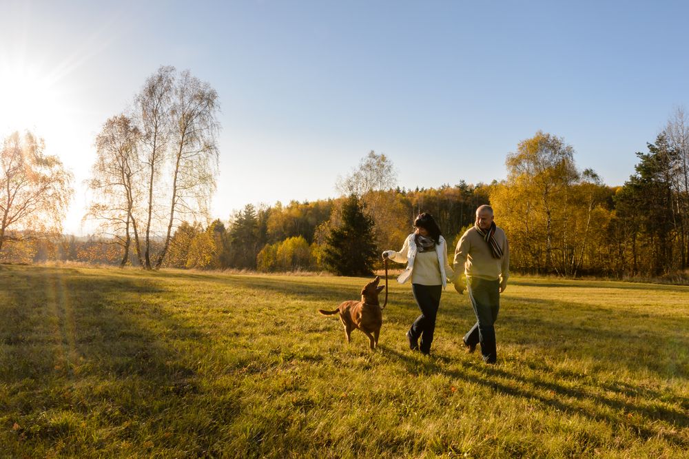 Man, Women and Dog